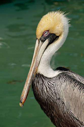 dsc_4803.jpg