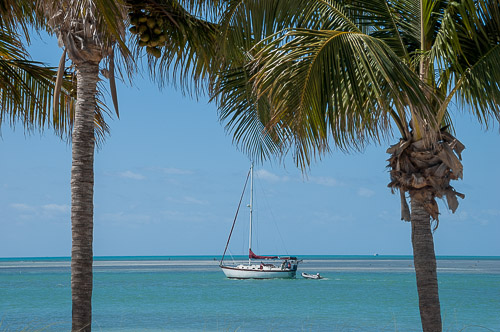 dsc_4805.jpg