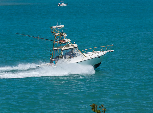 dsc_4817.jpg