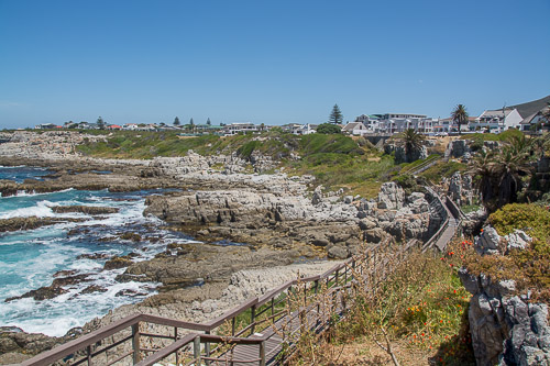 dsc_3314.jpg