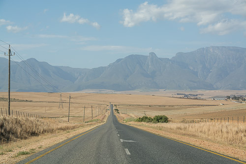 dsc_3390.jpg