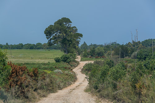 dsc_3497.jpg