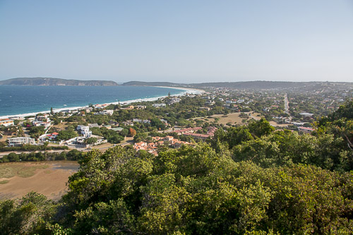 dsc_3592.jpg