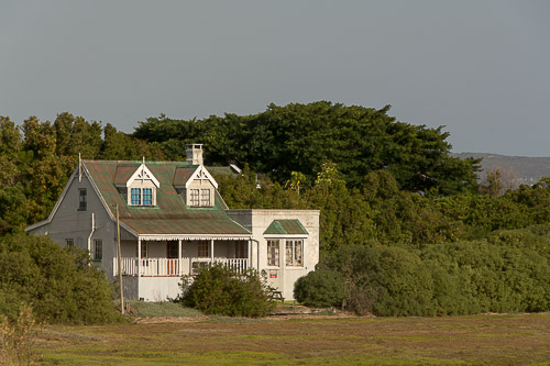 dsc_3594.jpg