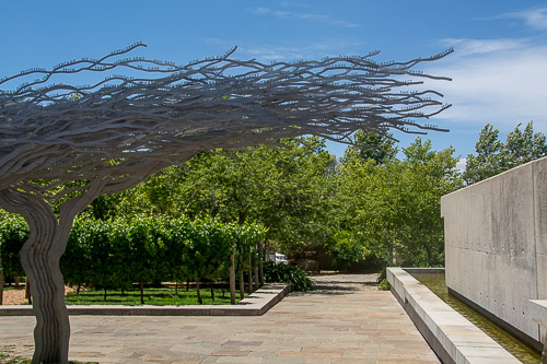dsc_3634.jpg