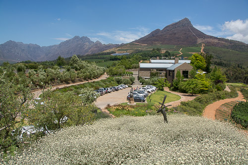 dsc_3665.jpg