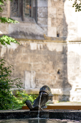 DSC_1613.jpg