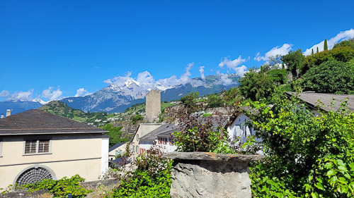 DSC_1632_20240616_095910.jpg