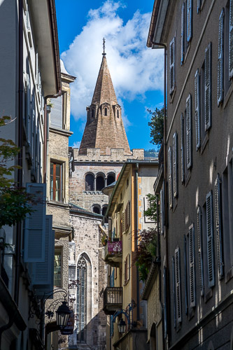 DSC_1650.jpg