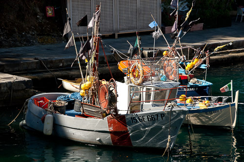 dsc_8299.jpg
