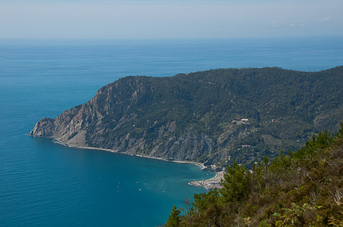 dsc_8319.jpg