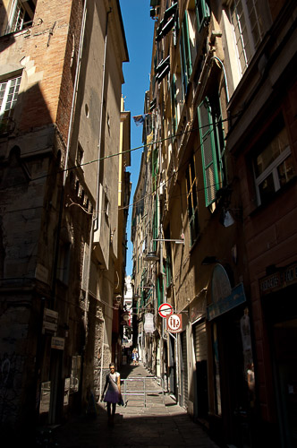 dsc_8348.jpg