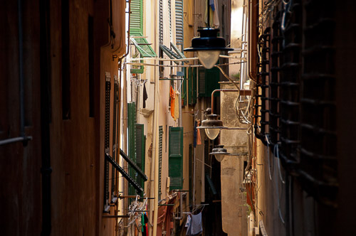dsc_8423.jpg