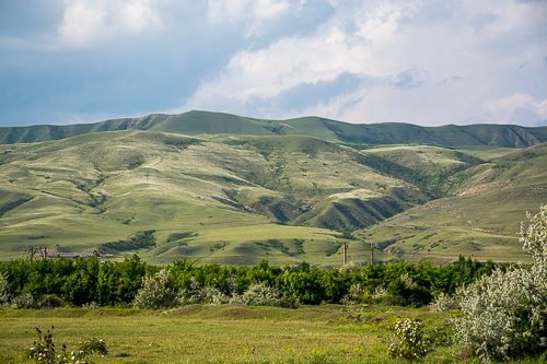 DSC_4684.jpg
