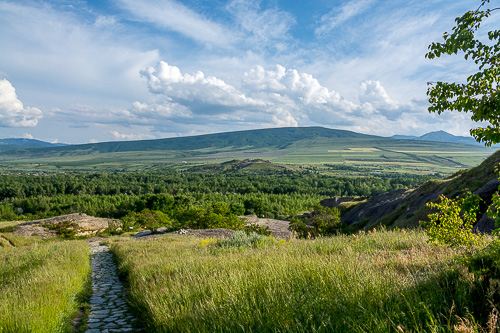DSC_4748.jpg