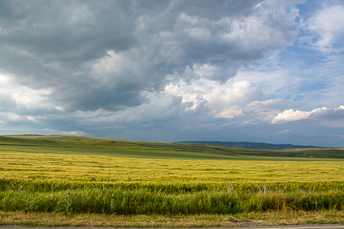 DSC_4772.jpg