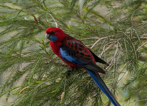 dsc_7827.jpg