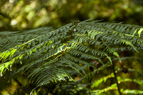 dsc_7849.jpg