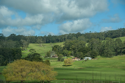dsc_7866.jpg