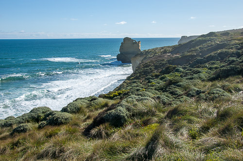 dsc_7884.jpg