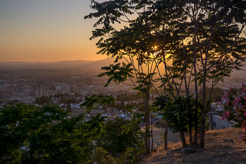 DSC_3435.jpg
