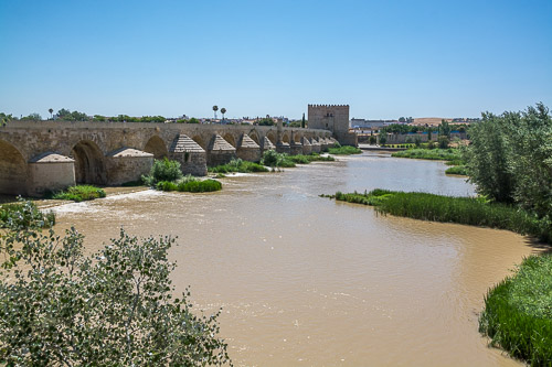 DSC_3544.jpg