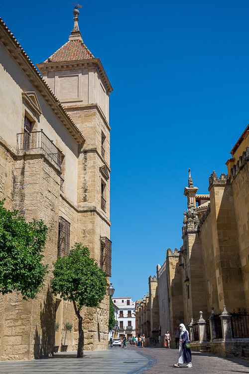 DSC_3563.jpg
