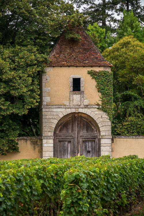 DSC_5484.jpg