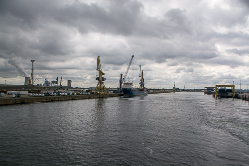 DSC_7369.jpg