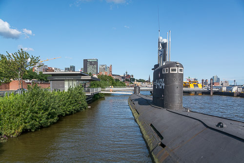 DSC_8048.jpg