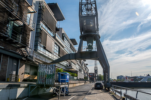 DSC_8258.jpg
