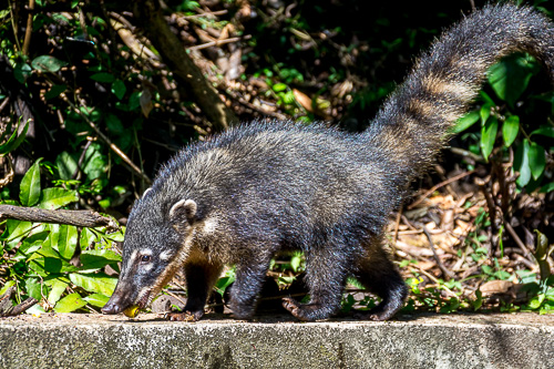 DSC_2404.jpg