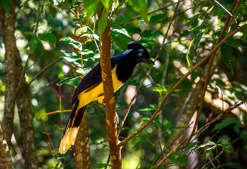DSC_2360.jpg