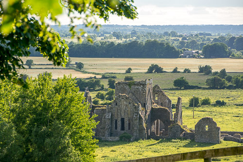 DSC_1427.jpg