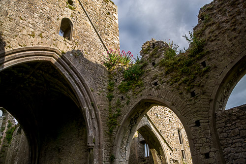 DSC_1490.jpg