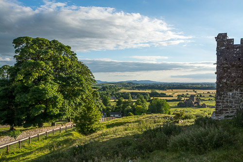 DSC_1569.jpg
