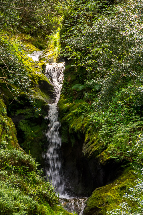 DSC_1638.jpg