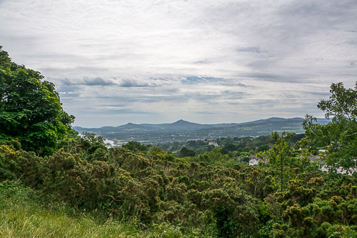 DSC_1670.jpg