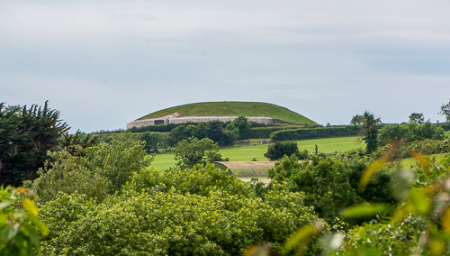 DSC_1713.jpg