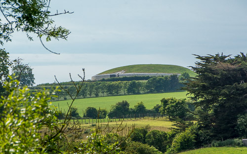 DSC_1724.jpg