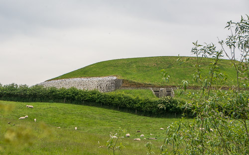 DSC_1734.jpg