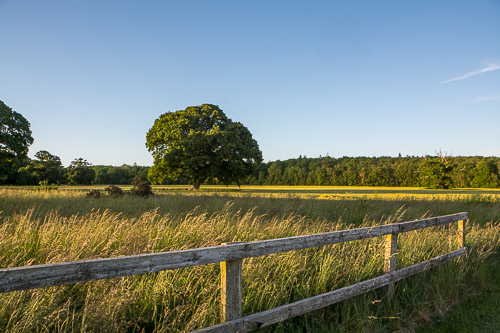 DSC_2205.jpg