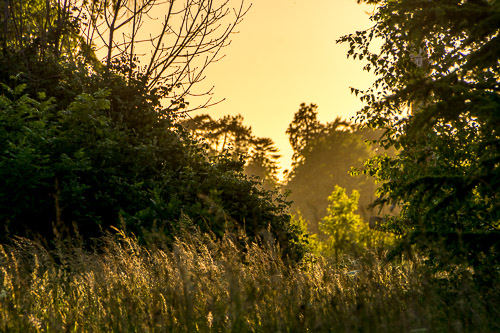 DSC_2228.jpg