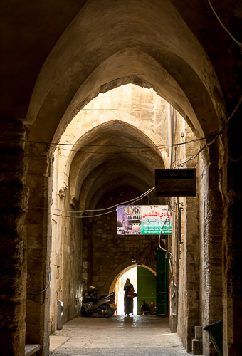 dsc_7933.jpg