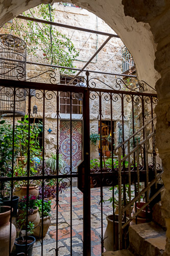 dsc_7985.jpg