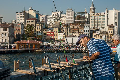 dsc_0585.jpg