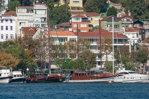 dsc_0841.jpg