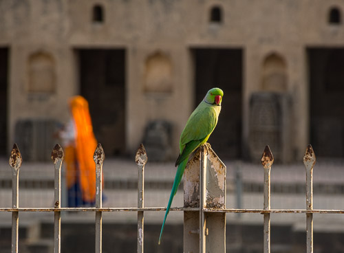 DSC_7755.jpg