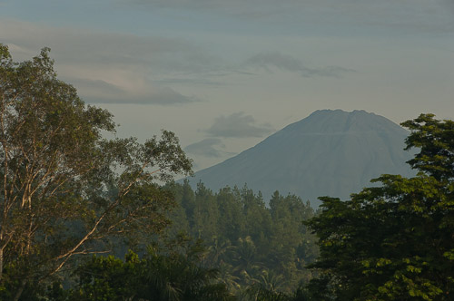 dsc_7076.jpg