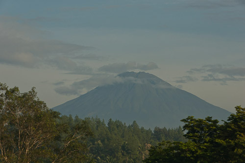 dsc_7107.jpg